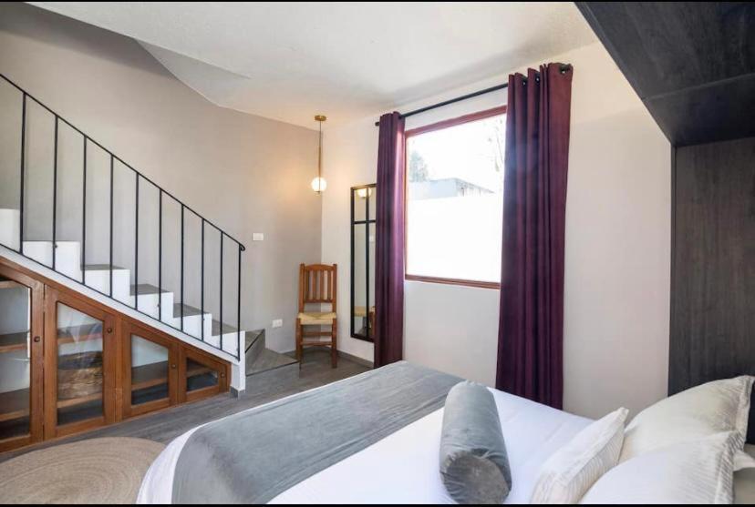 Siete Puertas Coyoacan Mexico City Room photo