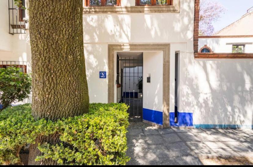 Siete Puertas Coyoacan Mexico City Exterior photo