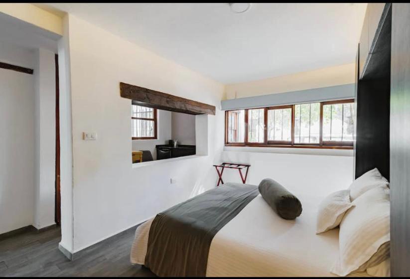 Siete Puertas Coyoacan Mexico City Room photo